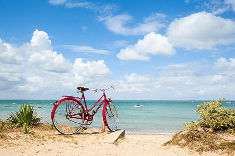 Découvrez l'île de Ré en vélo en séjournant à l'hôtel Perle de Ré